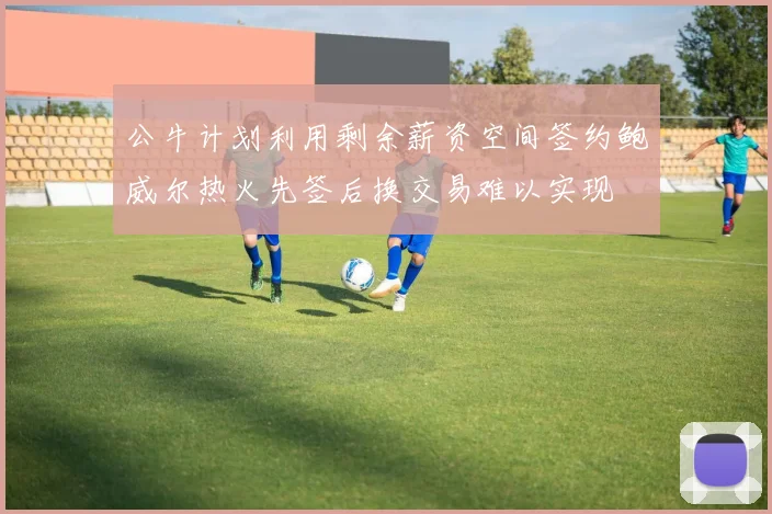 公牛计划利用剩余薪资空间签约鲍威尔热火先签后换交易难以实现